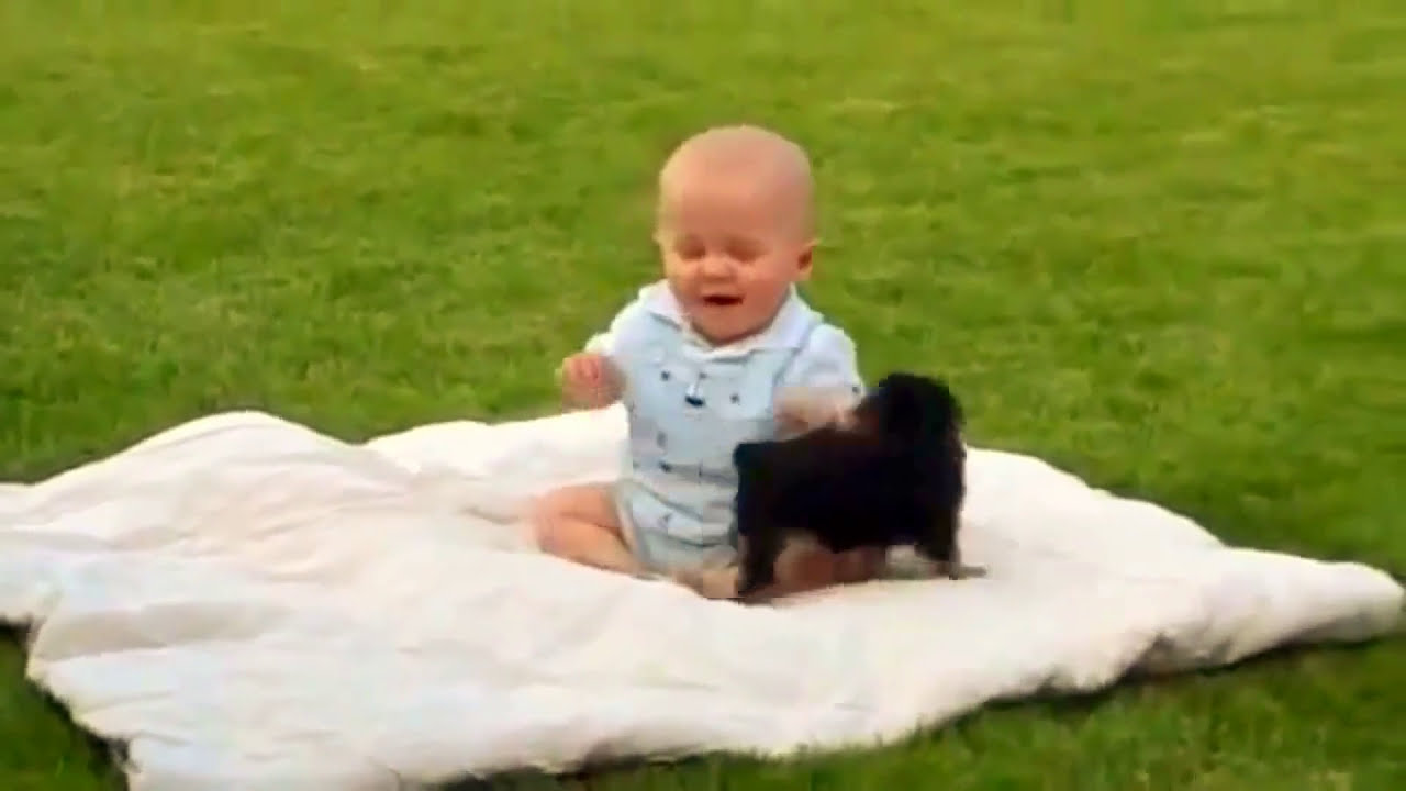 SMILE! Baby & Cute Puppy Play - Funny Animals - Comedy Videos