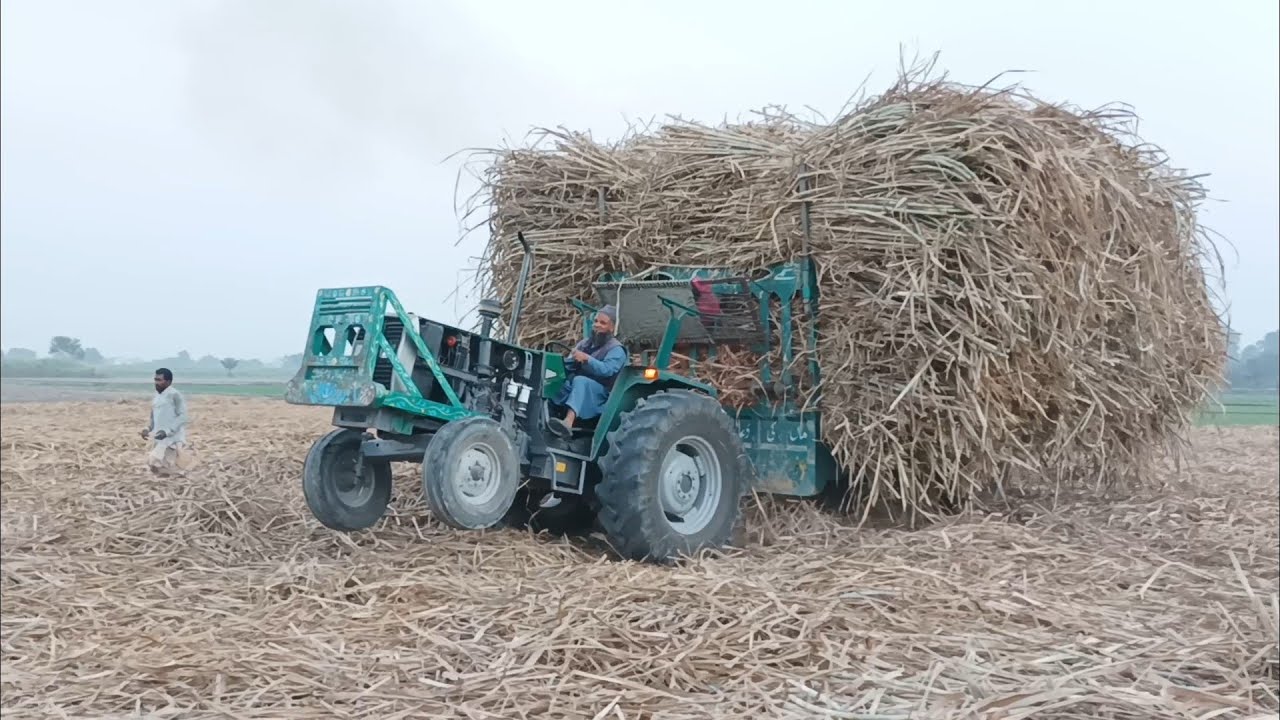MF375 pulling a heavy loaded trolley in field #Tractorzone