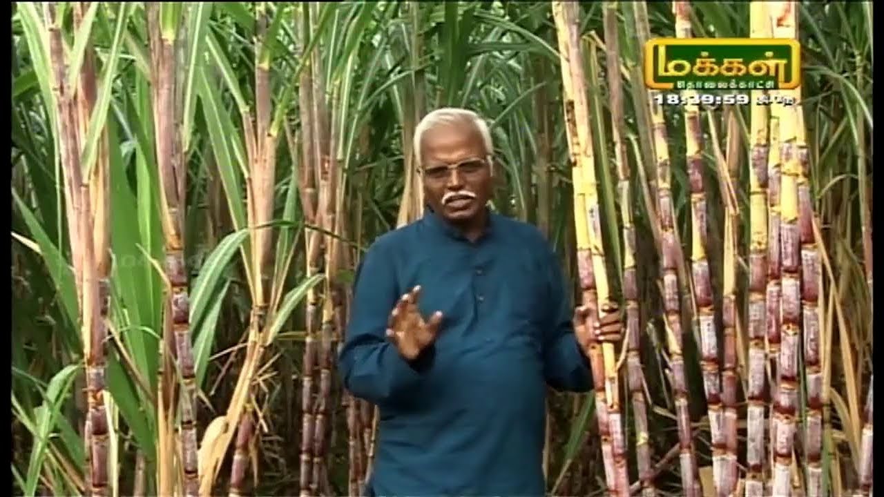 கரும்பு சாகுபடி  | EP 5 | மலரும் பூமி | மக்கள் தொலைக்காட்சி