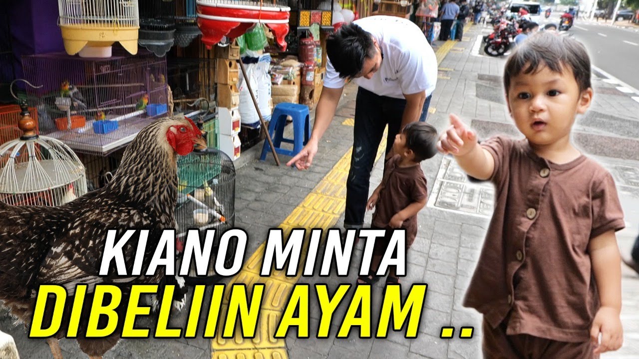 BINGUNG LIAT KIANO , KENAPA SUKA BANGET SAMA AYAM 🐓❌‼️⁉️