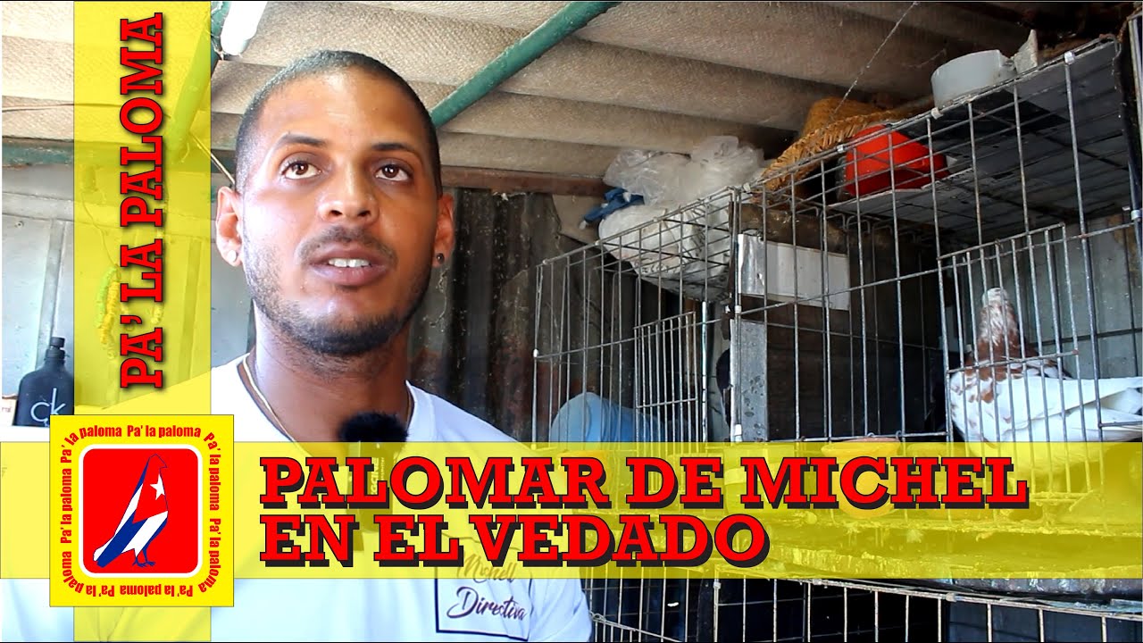 PALOMAR DE MICHEL EN PLAZA