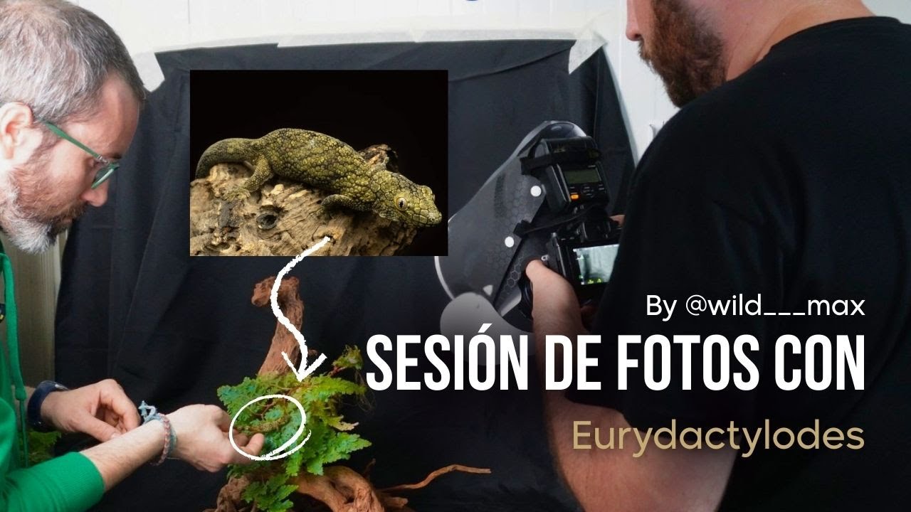 S&Uacute;PER SESI&Oacute;N FOTOGR&Aacute;FICA con @wild___max, un aut&eacute;ntico PROFESIONAL 📸🦎 | KANAKY VLOG #185