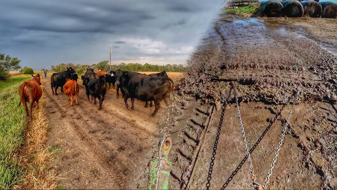 We got rained out again