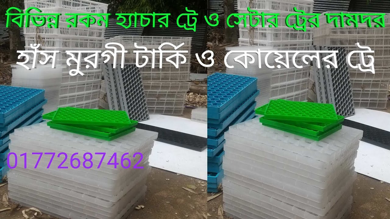 হ্যাচার ট্রে, সেটার ট্রে, বিভিন্ন রকম ট্রের বর্তমান দামদর, ডিমের ট্রে, কোয়েল ট্রে, ইনকিউবেটর ট্রে