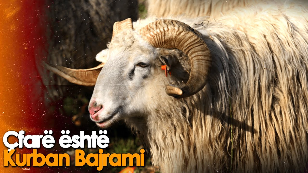 Kurban Bajrami - Cfare duhet te dini?