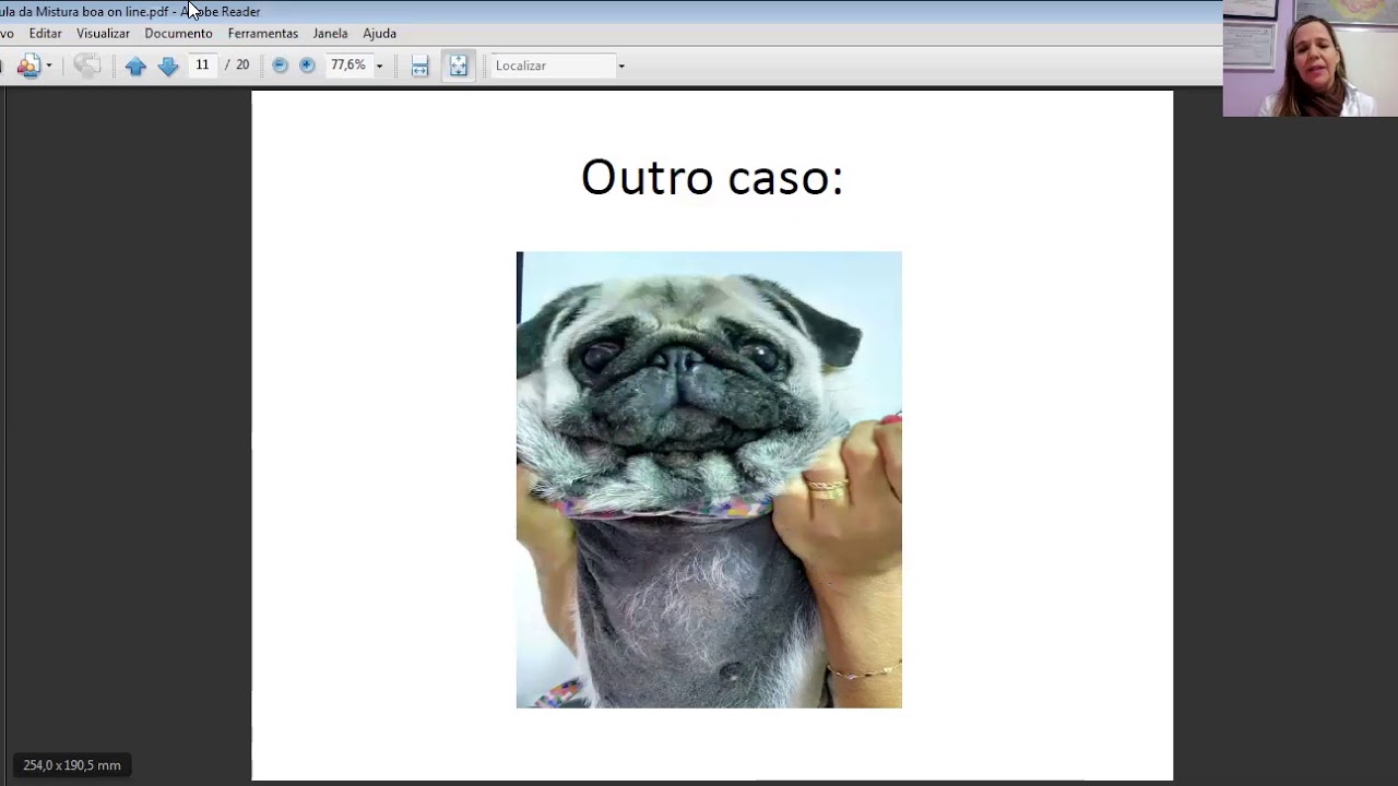 Falando sobre Malassezia com médicos-veterinários clínicos gerais!