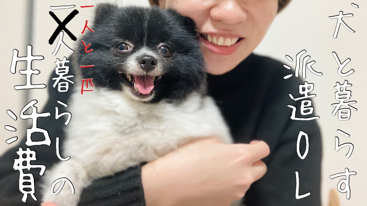 【生活費】一人暮らしで犬を飼うアラサー派遣OLの1ヶ月の生活費💰