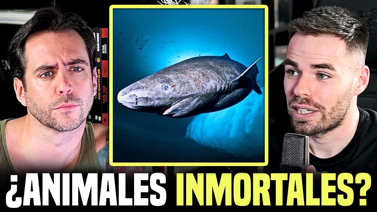&iquest;EXISTEN ANIMALES INMORTALES? - Zo&oacute;logo explica la longevidad de las especies