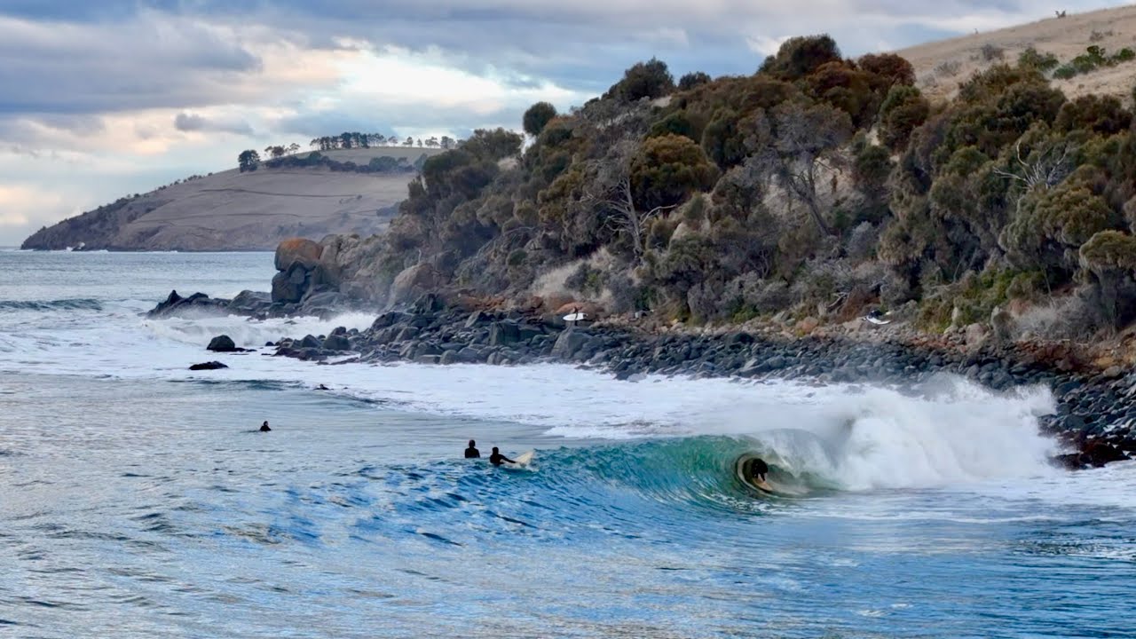 Meanwhile in Tasmania...