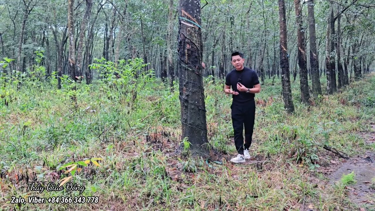Sốc..Thầy gi&aacute;o đồng 