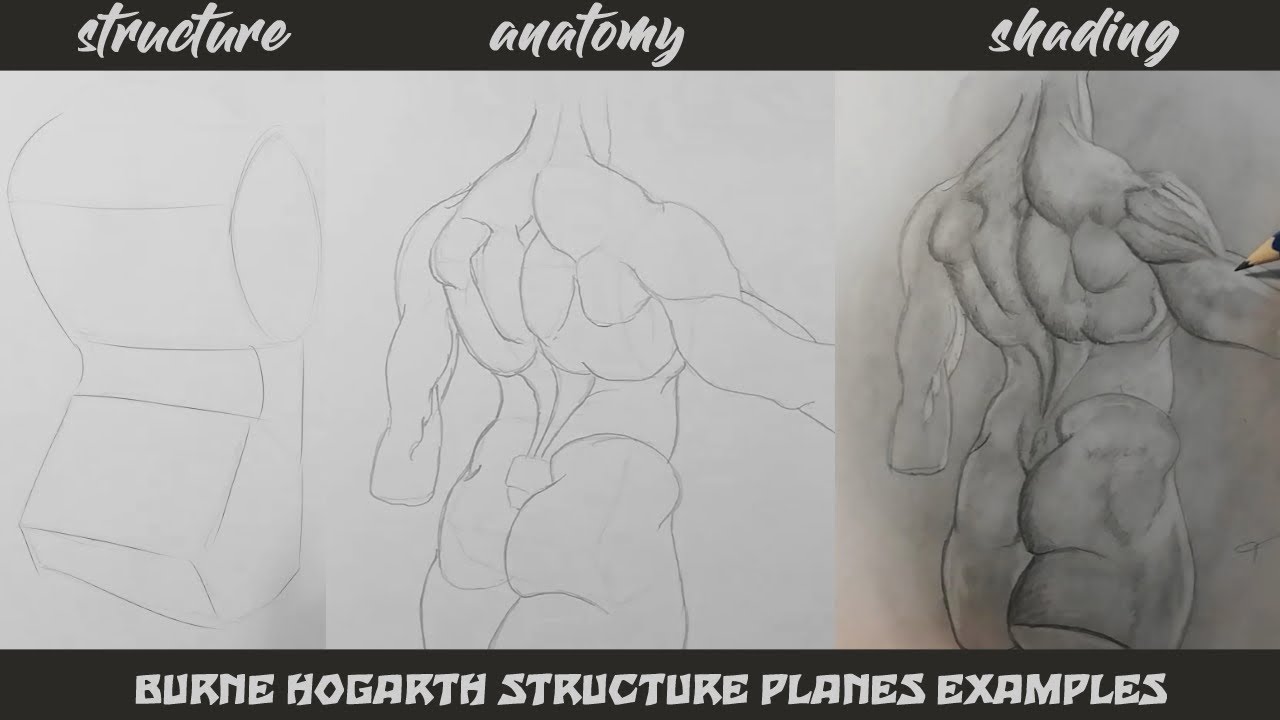 Burne Hogarth structure planes to anatomy