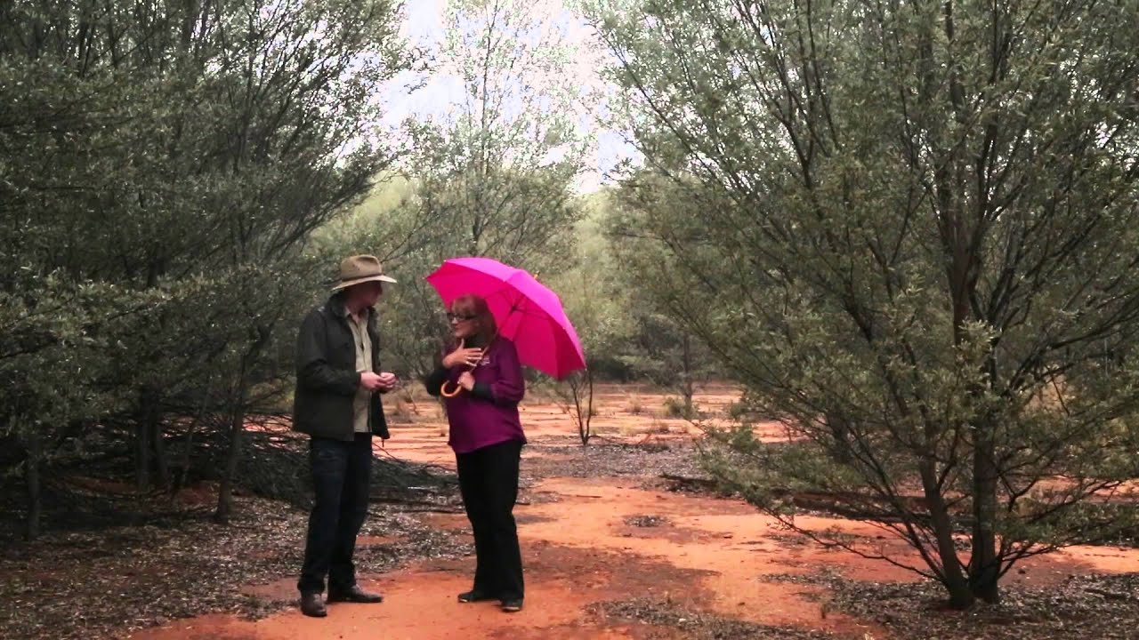 Natural Science Loop - Charleville Botanical Reserve, Charleville
