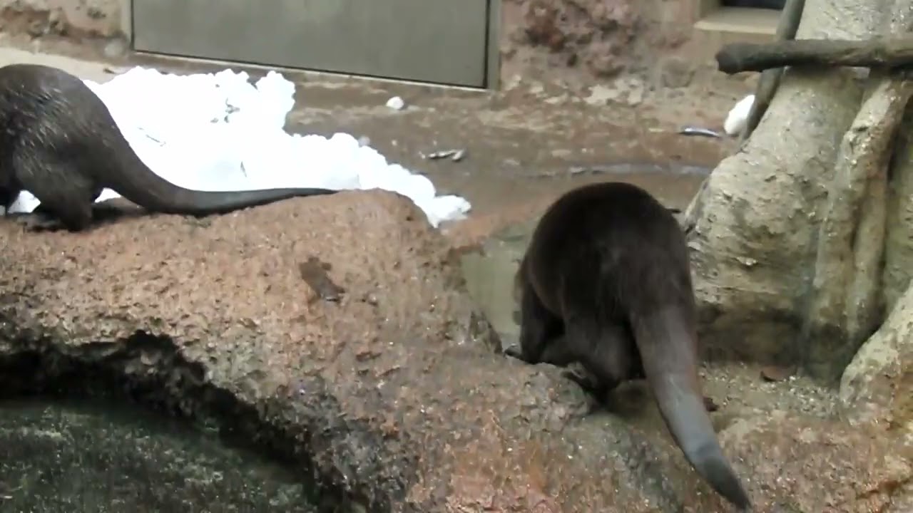 福岡市動植物園 (2015.2.6)