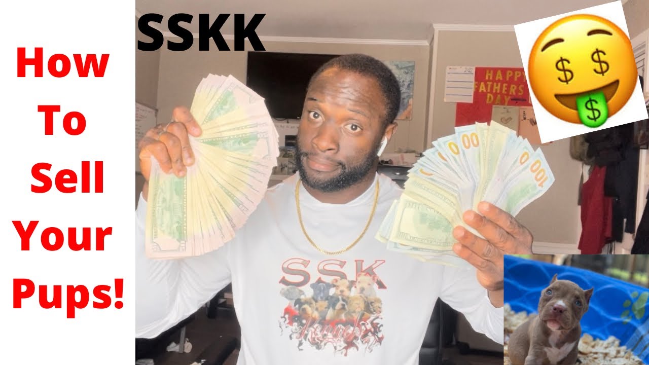 How To Sell Your Puppies… + Alot Of Free Game!!! SSKK