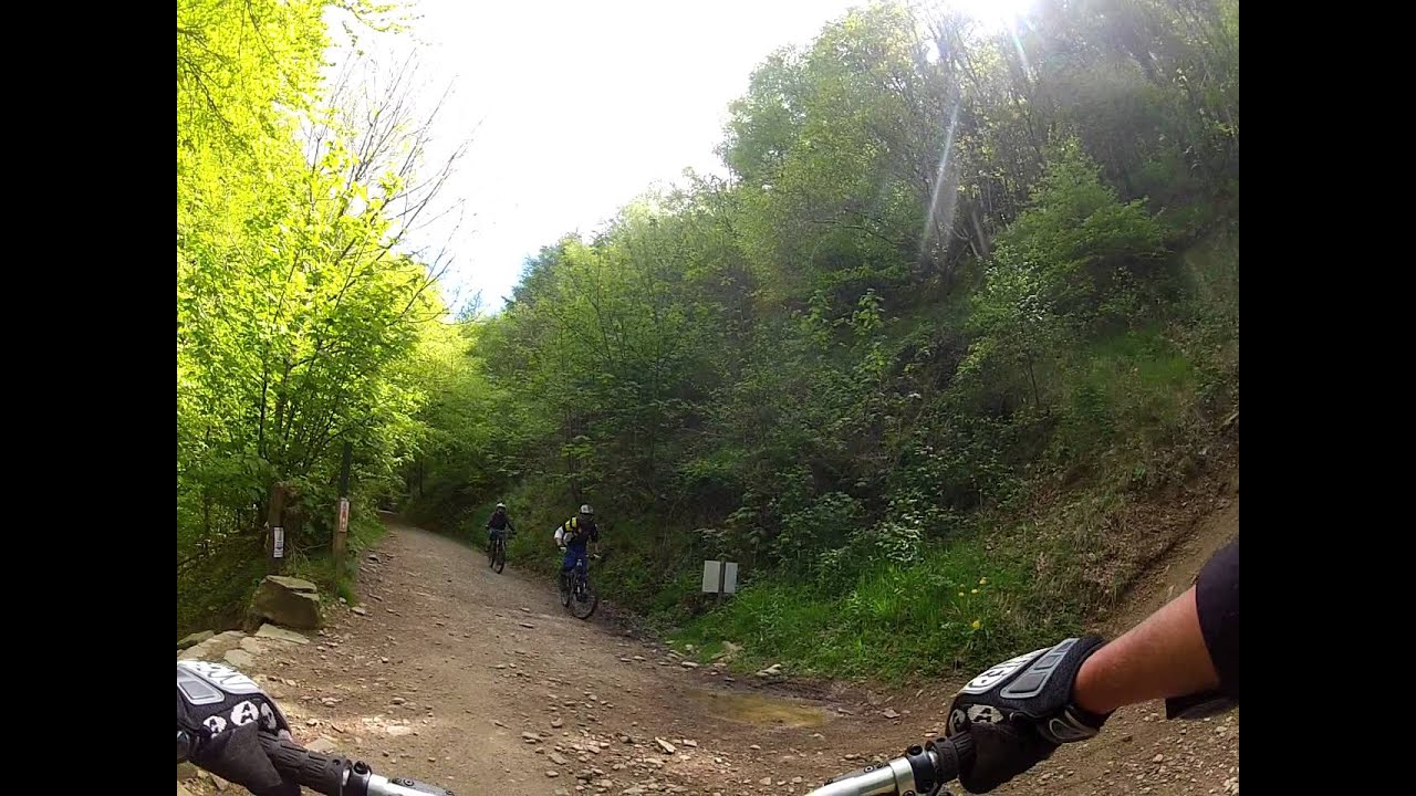 cwmcarm forest, abercarn south wales