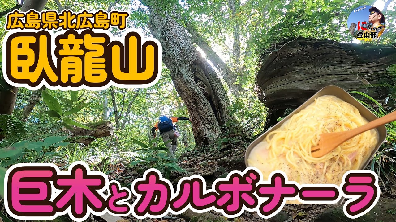 臥龍山（広島県北広島町）巨木とカルボナーラ