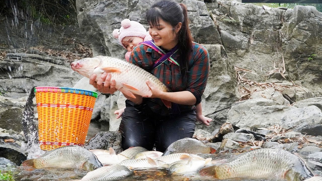Catching, trapping giant fish on cliffs in the forest | Smoking giant fish with my daughter
