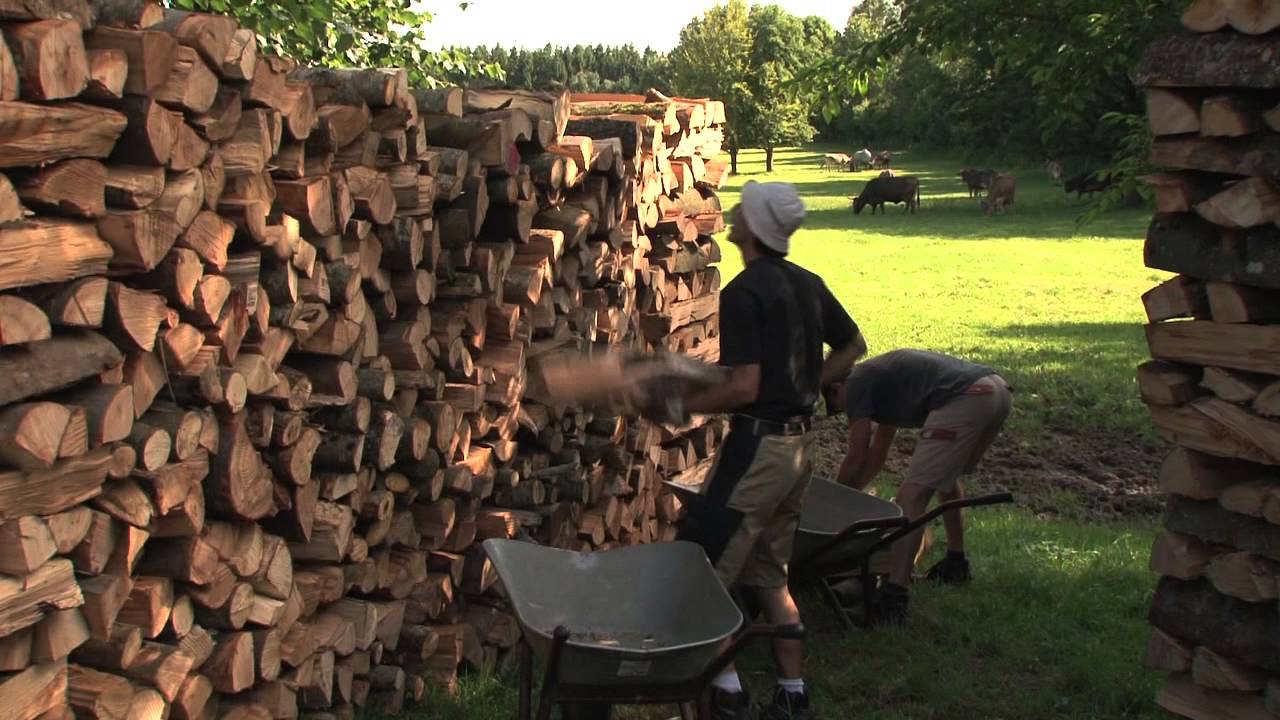 Landgruppe - Hermannsberg Film Mosaik