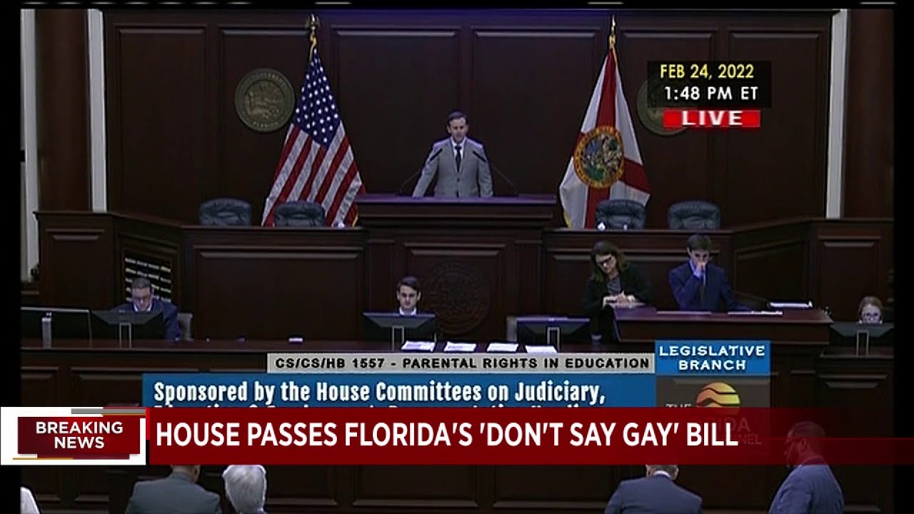 Two controversial bills pass through Florida House, now head to Senateoo