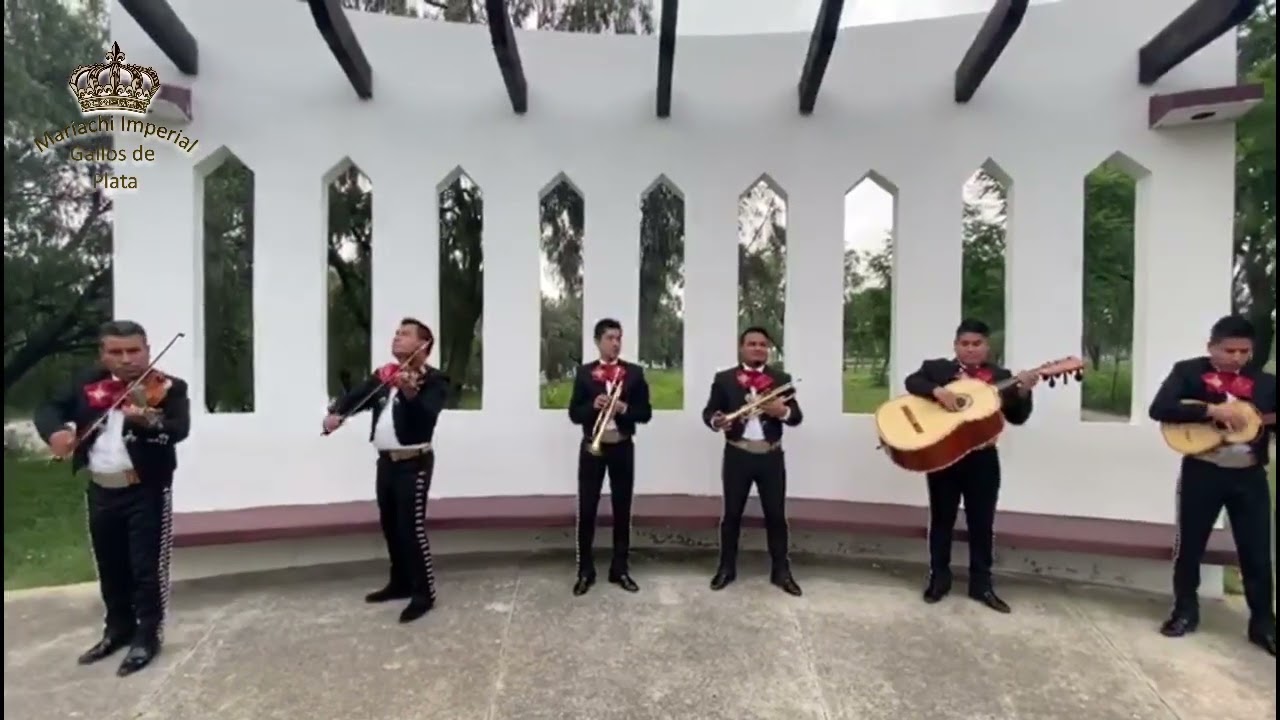 Mariachi Imperial Gallos de Plata Izcalli
