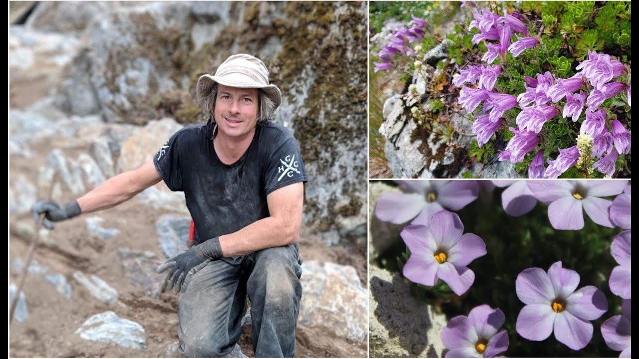 Vancouver Island Alpines: Paul Spriggs - a lecture for the Alpine Garden Society