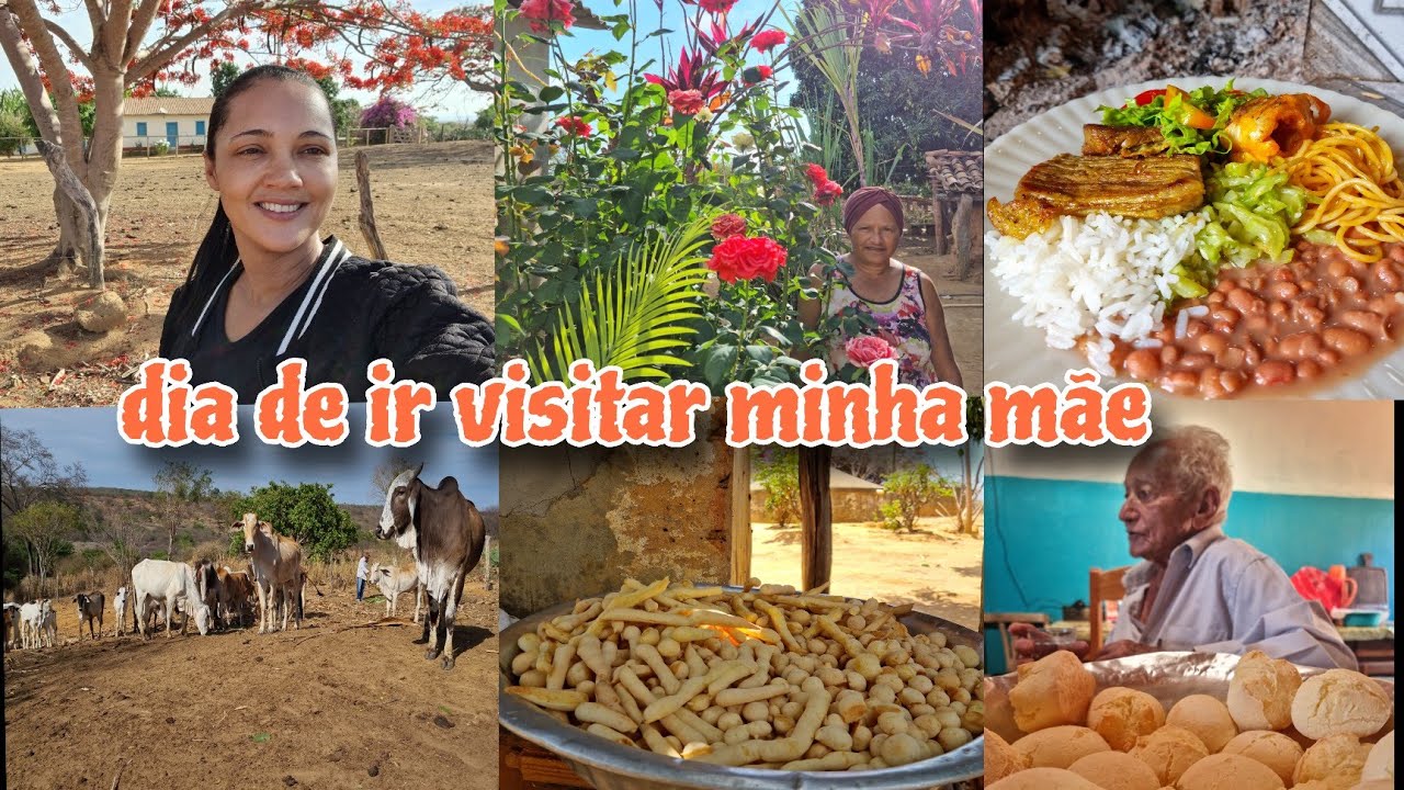 Passei o dia na melhor companhia, ajudando minha mãe/varrir quintal/ plantei sementes/ fiz chiringa