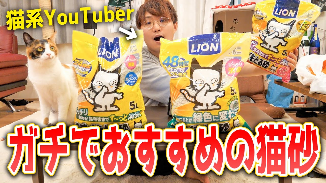 あらゆる商品を買ってきたあつしが本当に良かった猫砂を紹介します！！