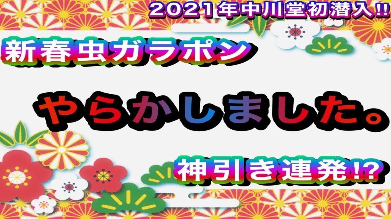 【神回】虫ガラポンで新春運試し！！当たり連発で豪華クワカブをGETなるか！？　Ryu's Tree#118【H.M.Y中川堂】【神引き】【クワガタムシ・カブトムシのお店】
