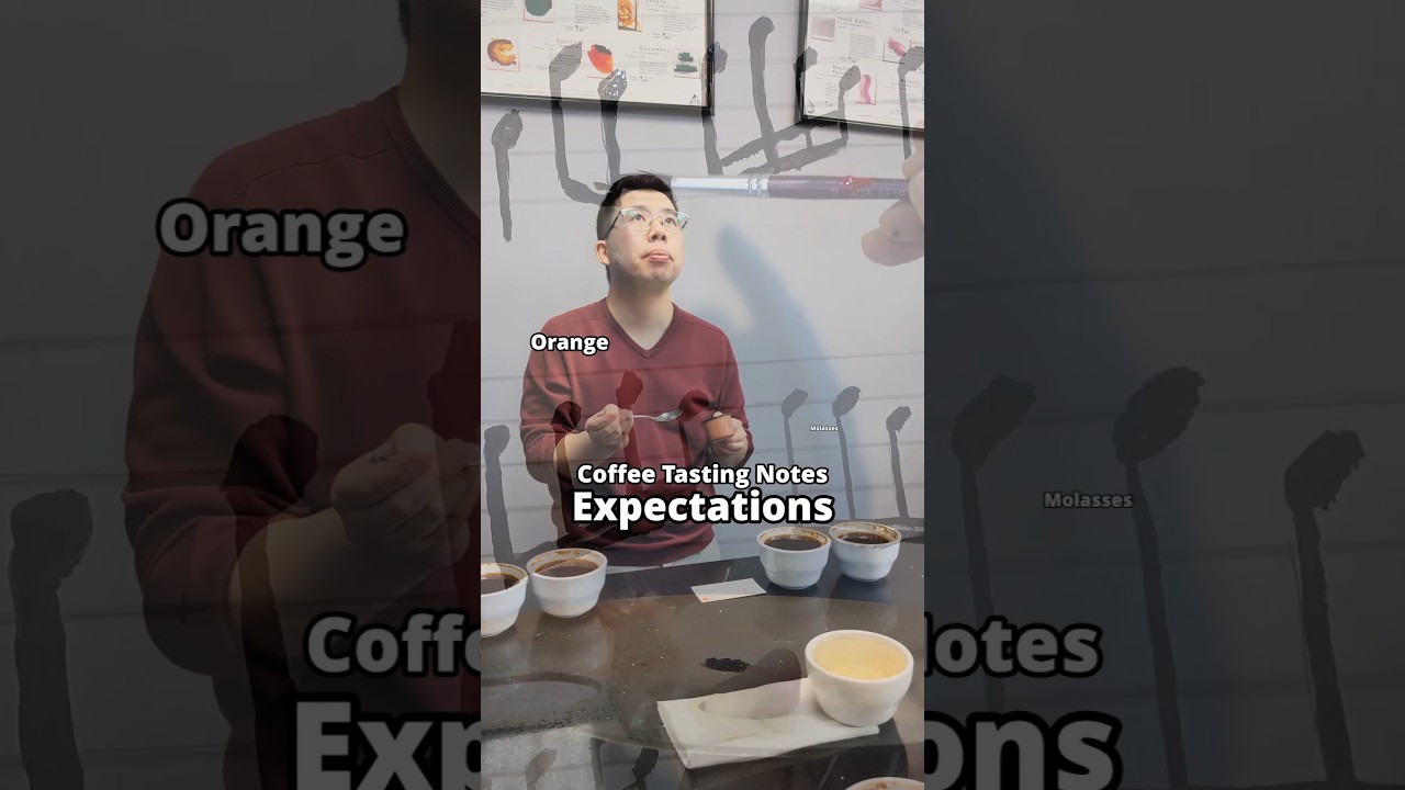 Coffee Tasting Notes: Expectations vs Reality 