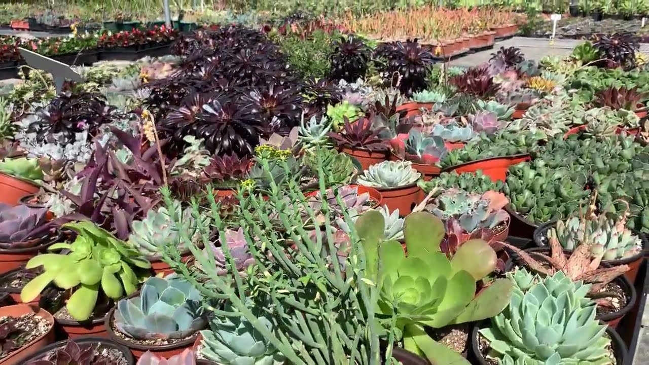 RV Nursery Tour - May 2021