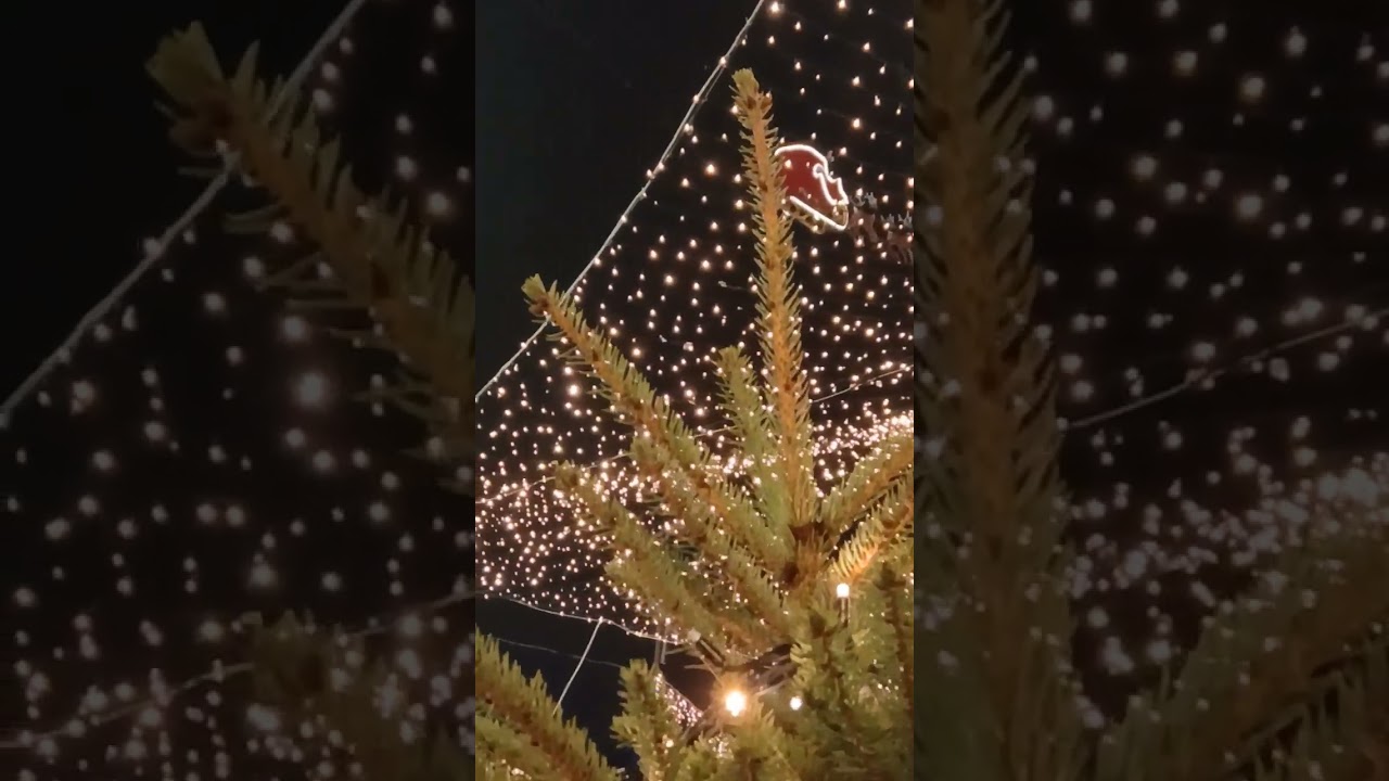Santa Claus arrived in Craiova! Moș Crăciun a sosit la Craiova!