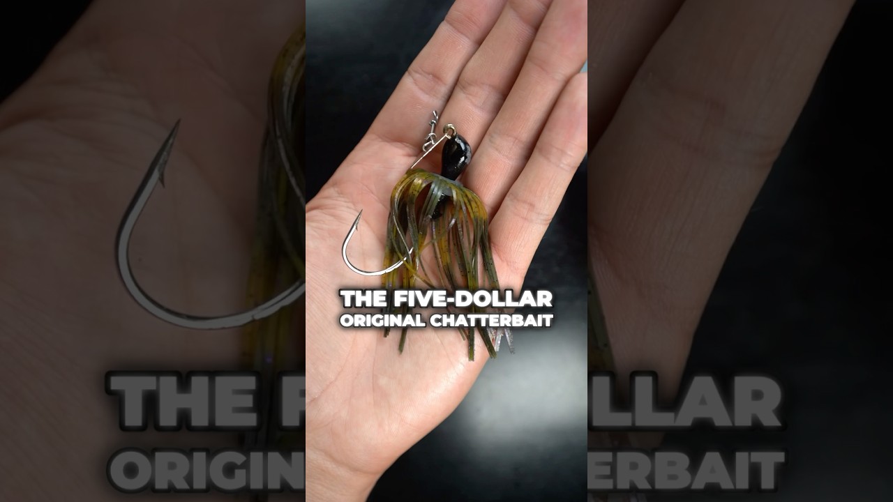 $16 vs $5 Chatterbait&hellip; IS IT WORTH IT?! 🤑🎣 #fishing