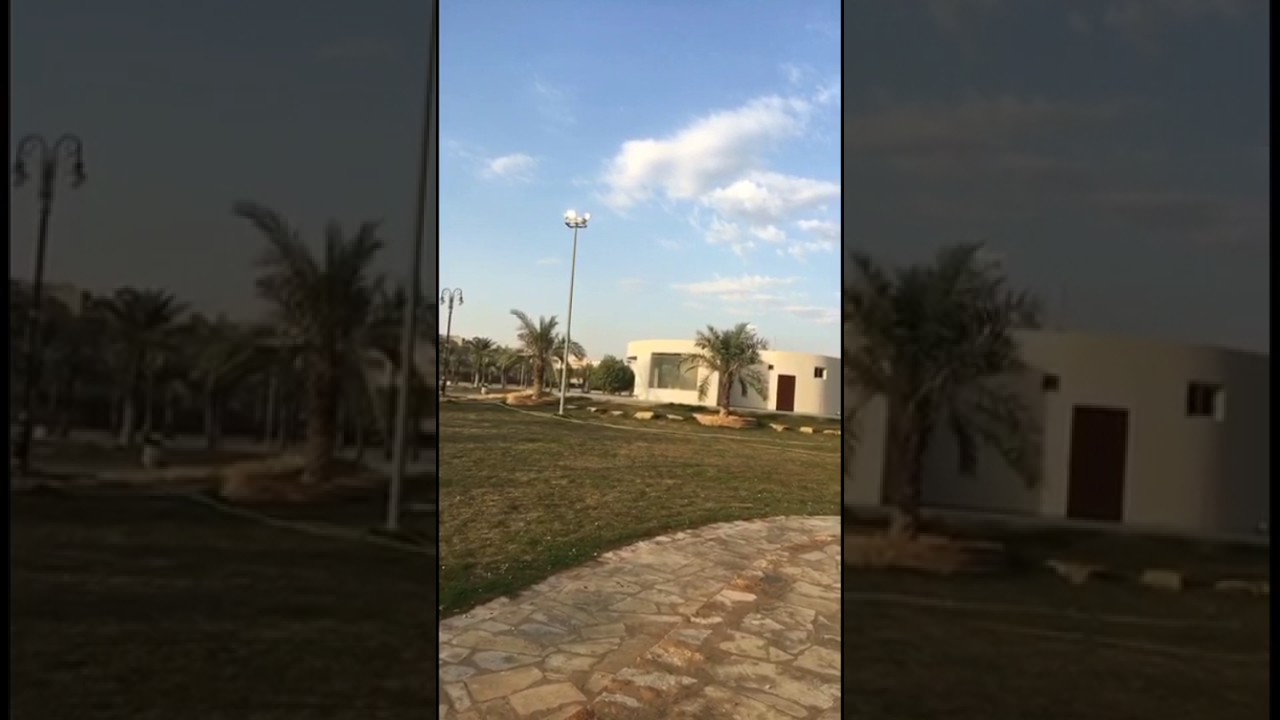 العادات الثمانية للسعداء
