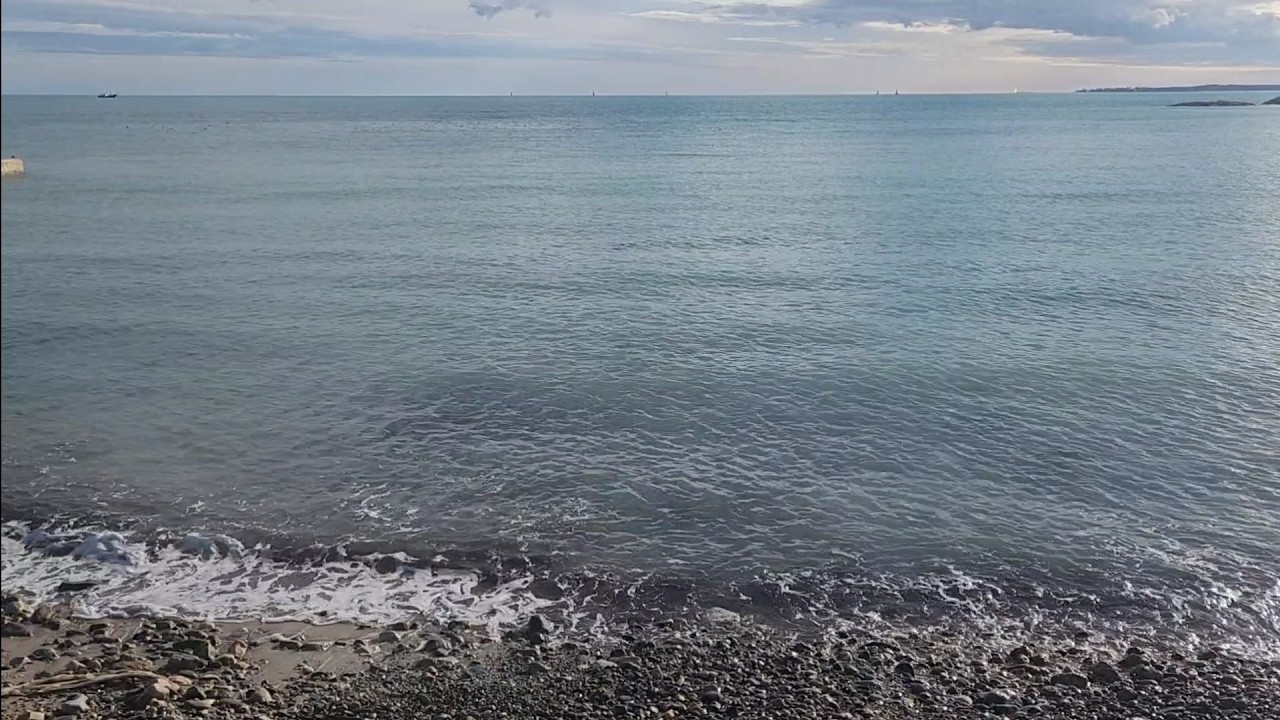 It doesn't need to make sense - meditate with me by the sea