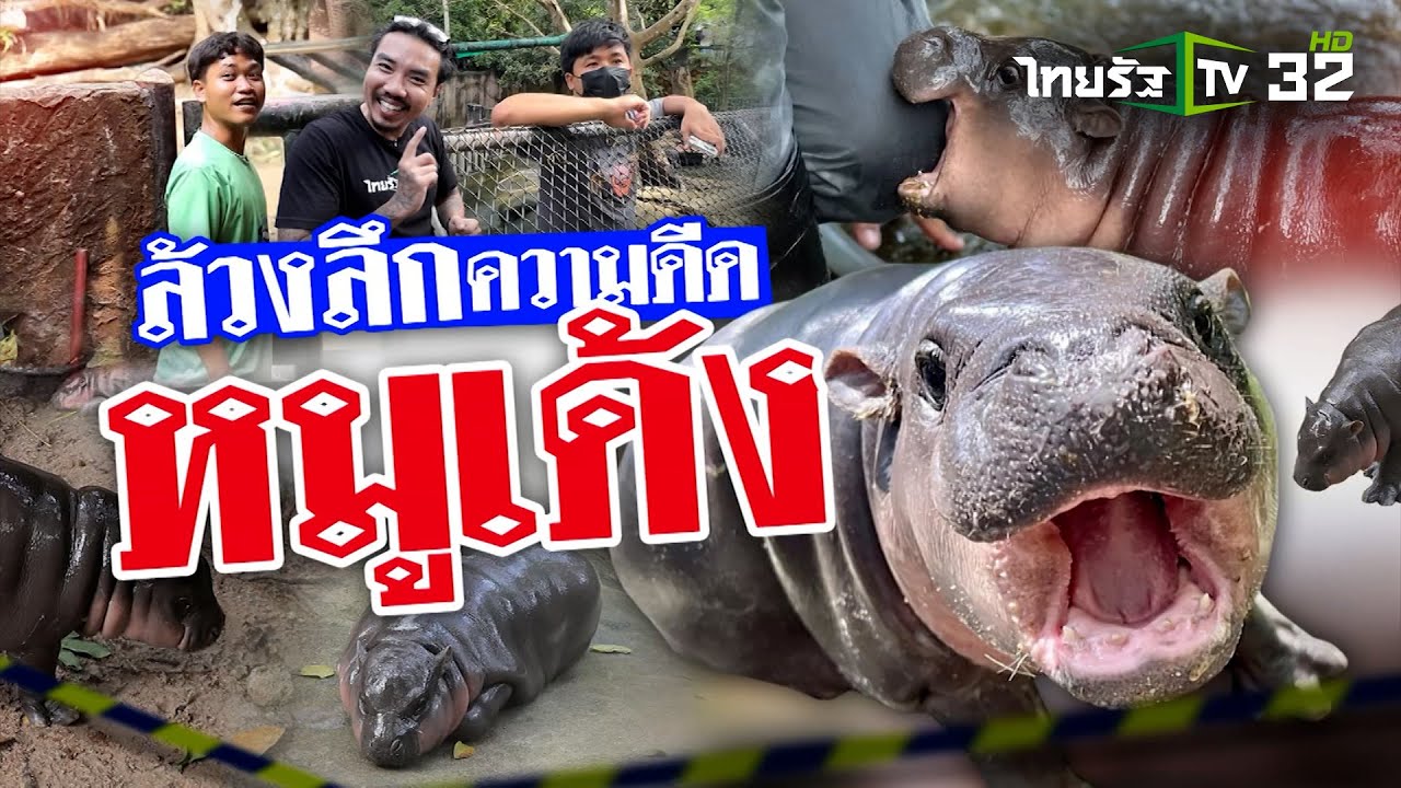ล้วงลึกความดีด หมูเด้ง | 28 ก.ย. 67 | ข่าวแสบเฉพาะกิจ
