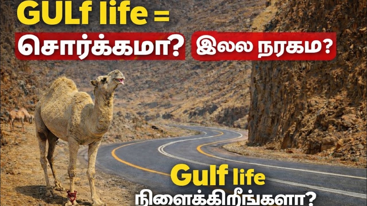 Gulf போக நினைப்பவர்கள்,    அனைவரும்  பார்க்க வேண்டிய வீடியோ....