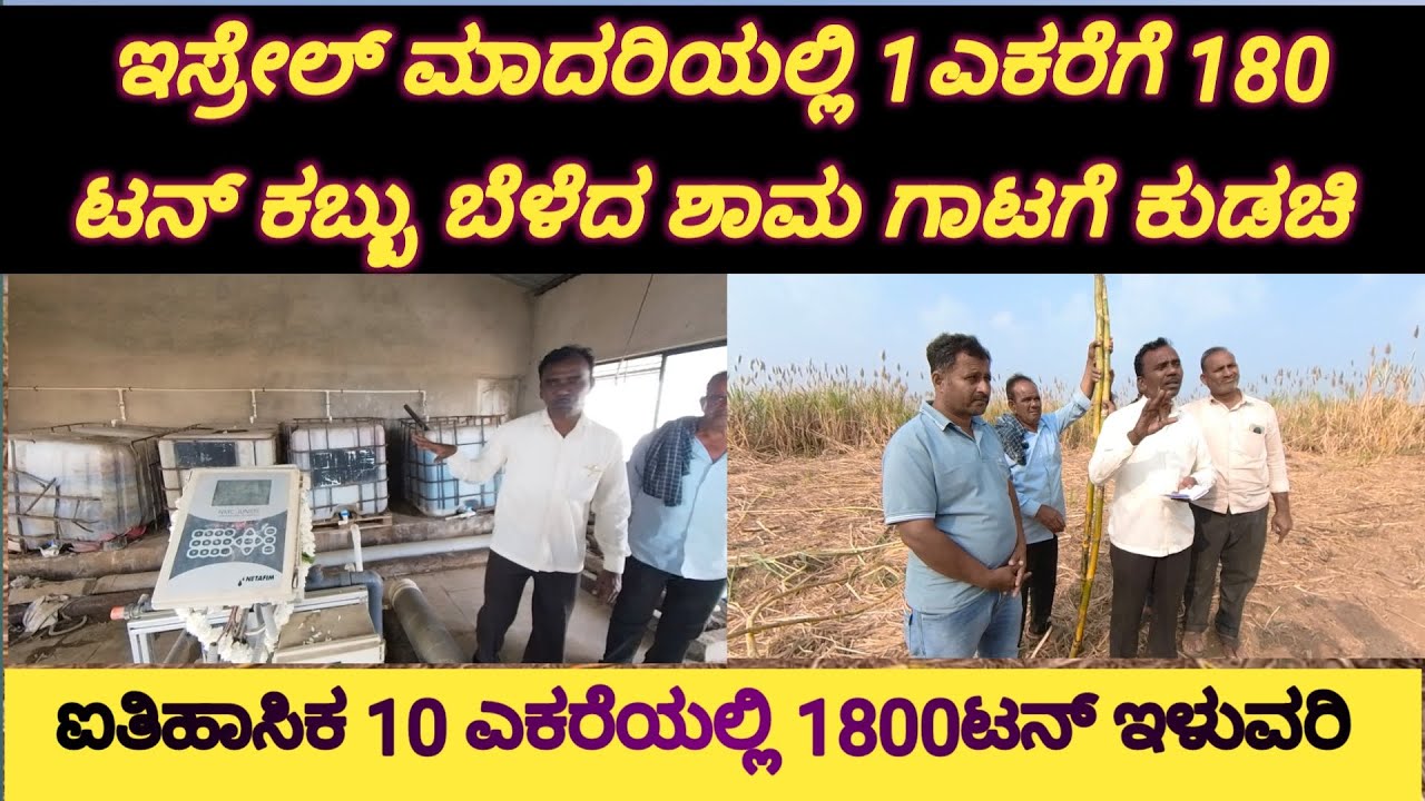 ಇಸ್ರೇಲ್ ಮಾದರಿಯಲ್ಲಿ ದೇಶದಲ್ಲಿ ಐತಿಹಾಸಿಕ ಕಬ್ಬಿನ ಇಳುವರಿ ಎಕರೆಗೆ 180 ಟನ್ /Sugarcen farming in karanata