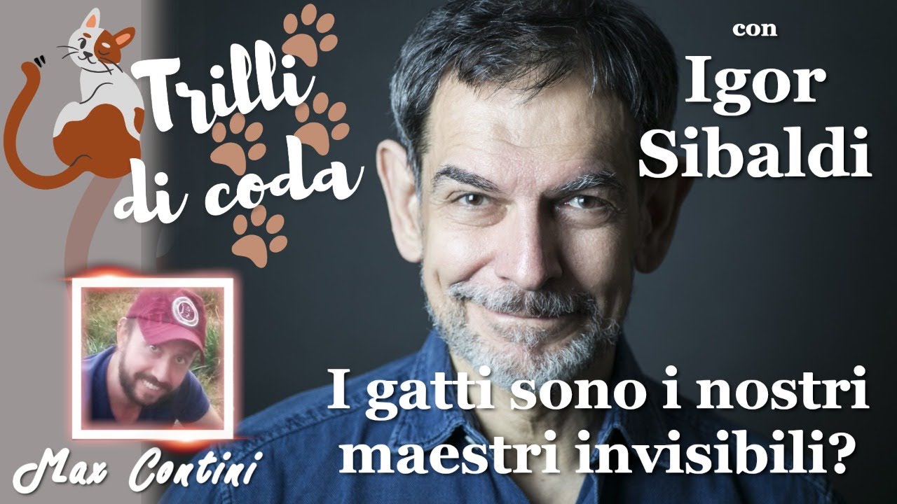 I gatti sono i nostri maestri invisibili? con Igor Sibaldi