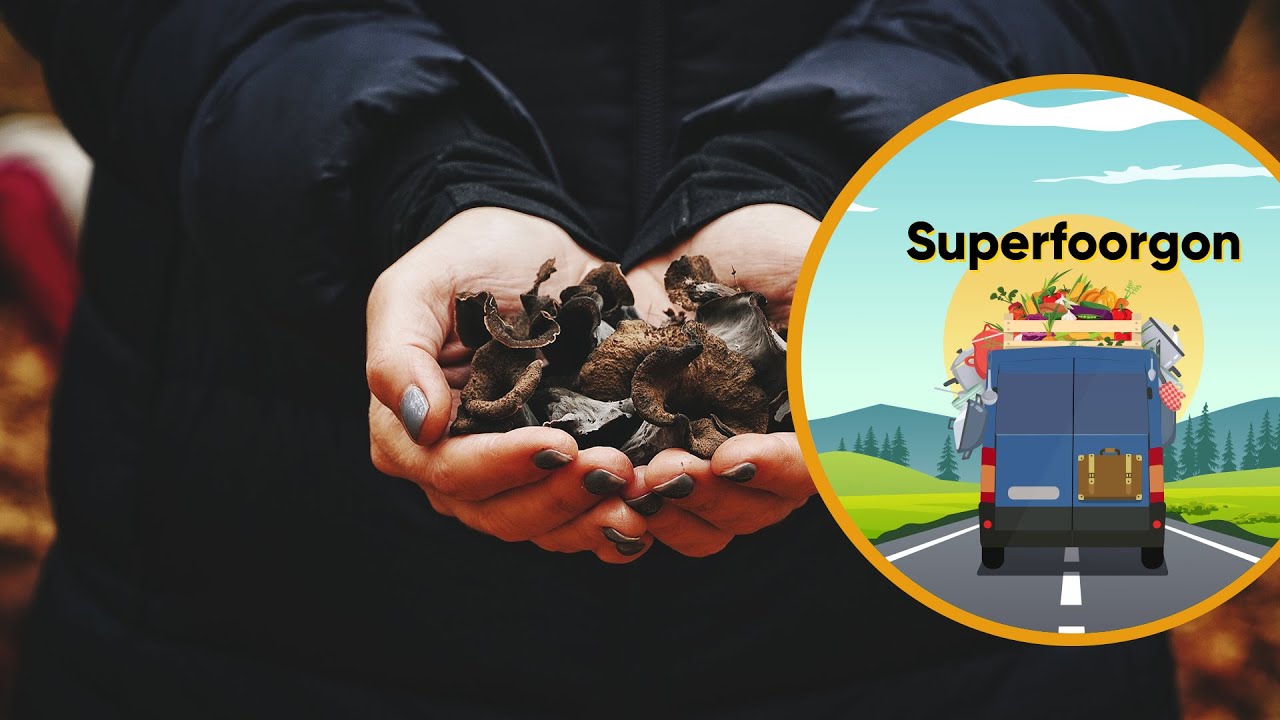 SUPERFOORGON | Gombásztunk és gombáztunk a Banyaerdőben - 1. rész | Nosalty