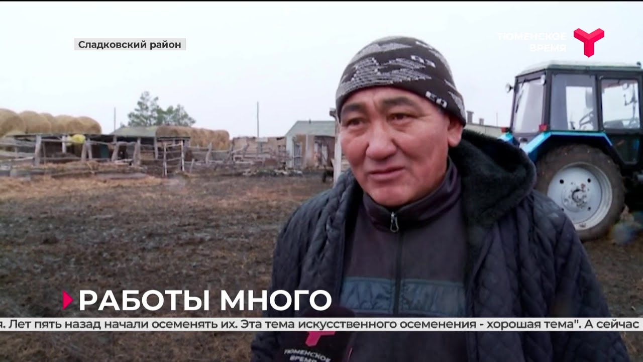 Фермеры Сладковского района готовятся к зиме