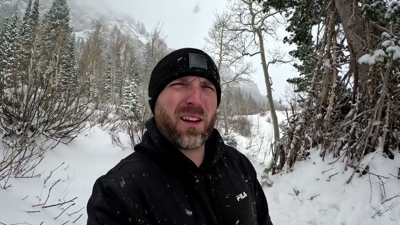 Shelter Update / December 28, 2025