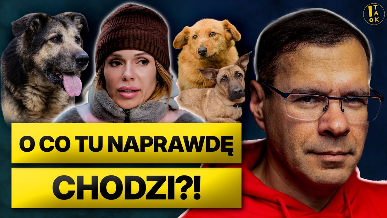 KARNOWSKI I SKANDAL W SCHRONISKU I W CO GRA DODA I WŁADZA MANIPULUJE I CO ZROBIĆ BY POM&Oacute;C ZWIERZĘTOM