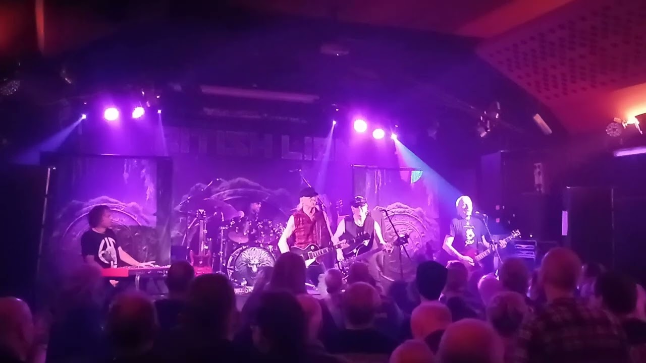 STRAY - live December 2025