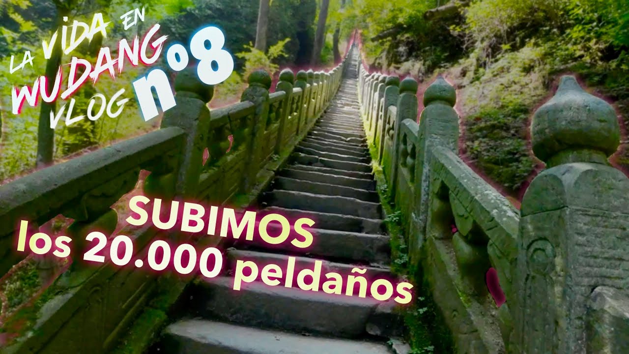 MONTE WUDANG en China | Recorremos TODO EL CAMINO antiguo hasta la cima! / La vida en Wudang 8