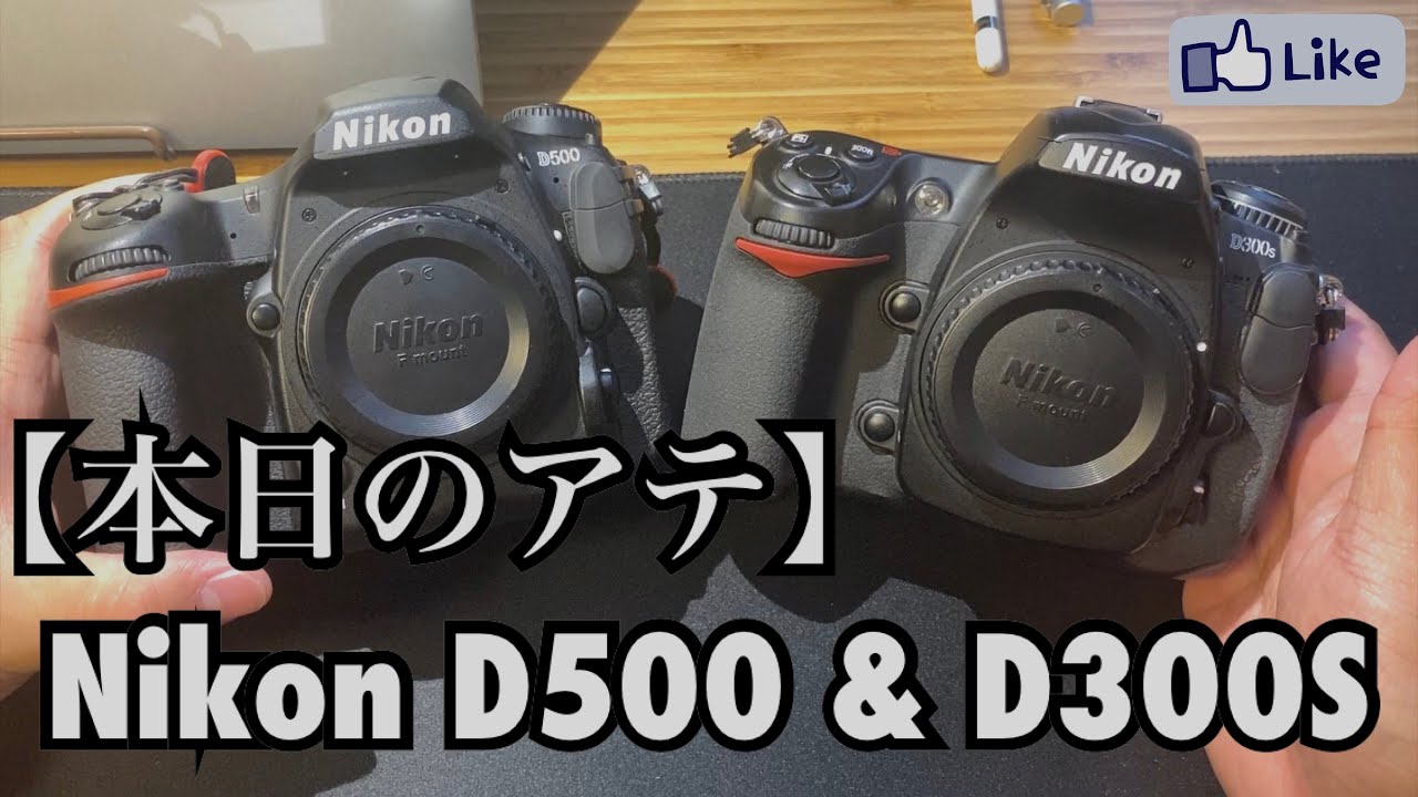 【本日のアテ】D300S & D500/２世代のDXフラッグシップ