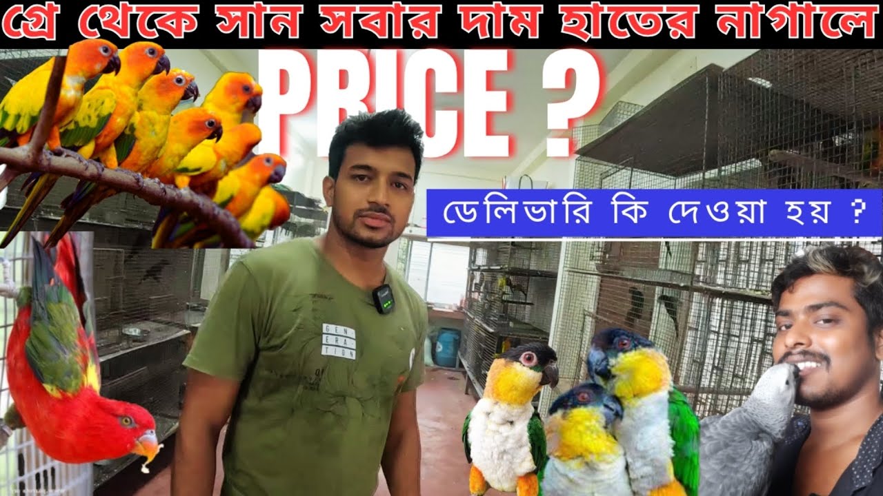 আফ্রিকান গ্রে প্যারট, Lory পাখি ও অন্যান্য বিদেশী গুলির দাম কি? exotic bird recent price #bird