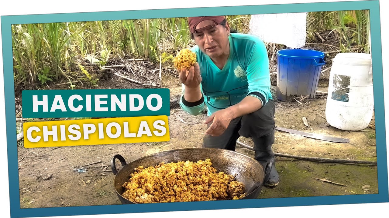 Haciendo unas ricas chispiolas