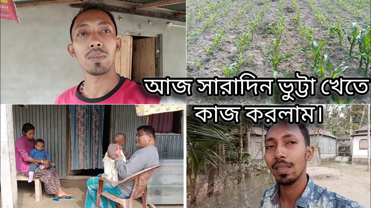  আজ সারাদিন ভুট্টা খেতে কাজ করলাম।
