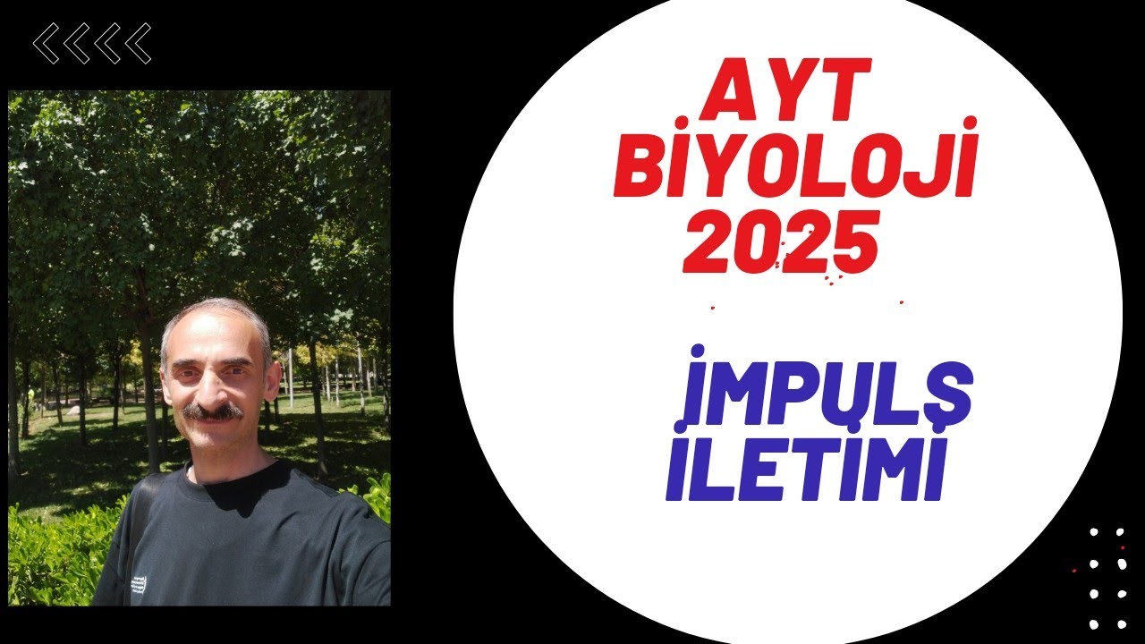 impuls iletimi, sinir sistemi 2, AYT biyoloji 2024, polarizasyon, depolarizasyon, repolarizasyon,