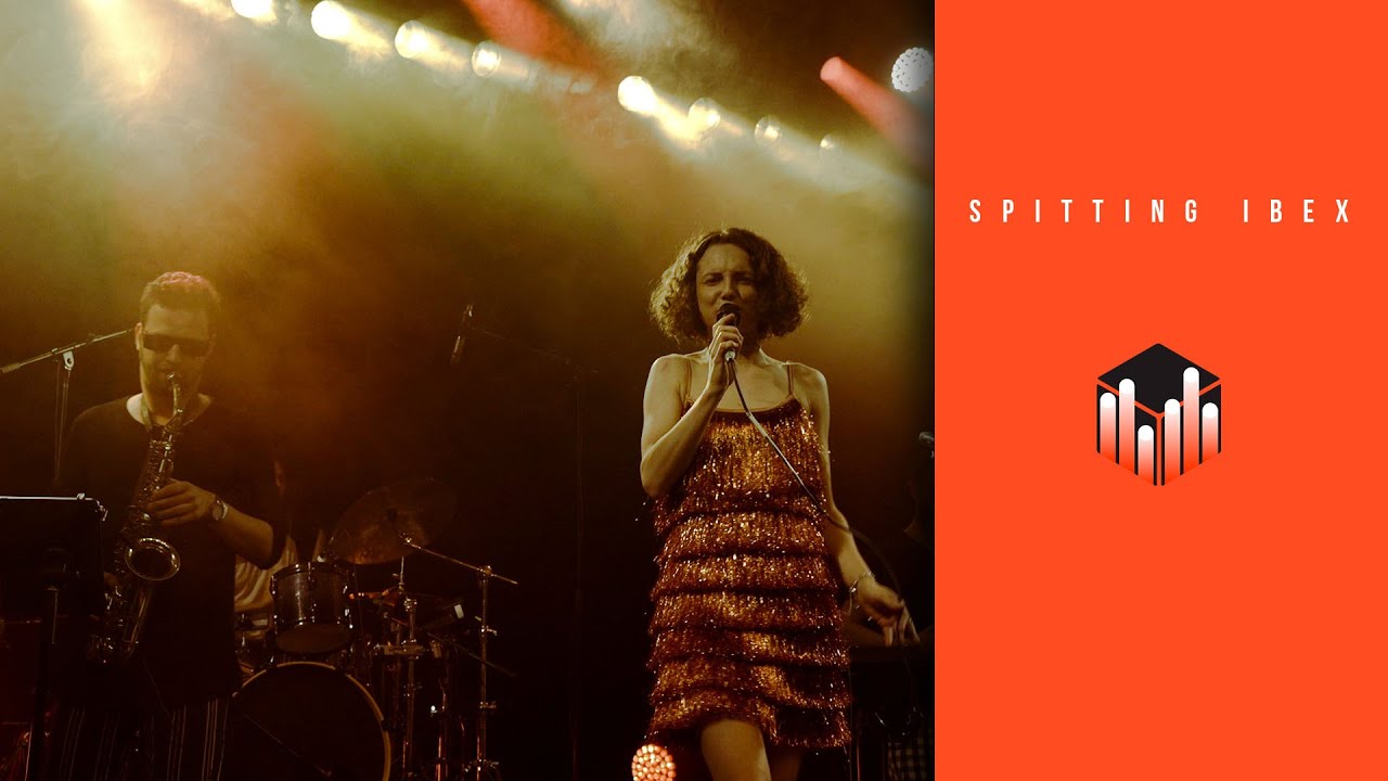 Spitting Ibex - Pleasing Me | Live at Arena Wien